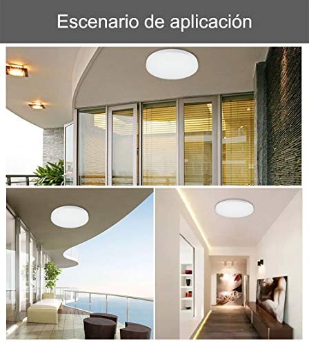 LED Lámpara de Techo 36W Interior Plafón Moderna LED de Techo Redonda Ultra fina IP 20 170-265V AC SMD 2835 Epistar Vida útil 30000 Horas De Baño Pasillo Cocina Sala Salón Comedor (Circular Ice, 36W)