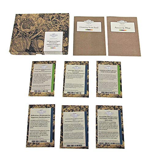 Magic Garden Seeds Jardín del monasterio - Kit de Semillas Regalo con 6 Plantas medicinales Medievales