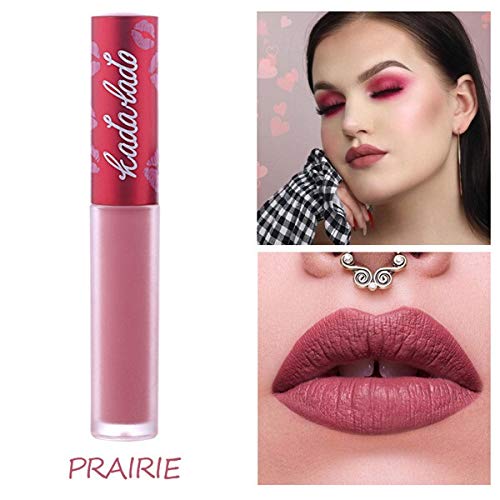 Maquillaje A Prueba De Agua Desnuda Barra De Labios De Larga Duración Líquido Barra De Labios Mate Pluma Brillo De Labios Lip Gloss Cosméticos De Maquillaje (Color : 18 PRAIRIE)