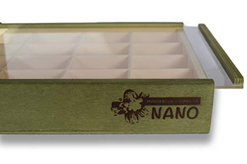 MINERALES Y FOSILES NANO Colección de 20 Fósiles del Mundo en Caja de Madera Natural - Fósiles Reales educativos de Gran tamaño con Hoja de descripción. Kit Geología para niños