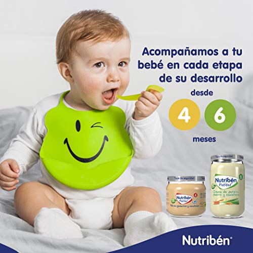 Nutribén Potitos de Manzana y Plátano Desde los 6 Meses, 235 G, Pack de 1