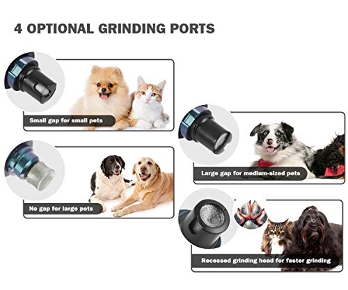 Pecute Lima de Uñas Eléctrica para Perro Gato Mascotas Mediano y Grande, Cortaunas Perro, Amoladora del Clavo Recargable y de Bajo Ruido, Dos Grados Velocidad Variable con Cable USB (Negro) (L, Azul)