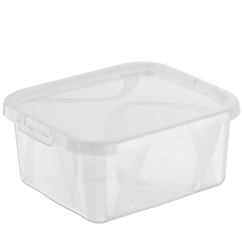 Rotho Arco, Juego de 8 cajas de almacenamiento de 2 litros con tapa, Plástico PP sin BPA, transparente, 8 x 2l 20.0 x 16.0 x 26.0 cm