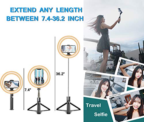 Selfie Aro de Luz 6.6" con Trípode y Soporte para Movil,3 en 1 Portátil Palo Selfie Trípode con Remoto,Luz de Anillo LED 3 Colores Regulables 19-92cm Extensible para TikTok Live Stream Maquillar