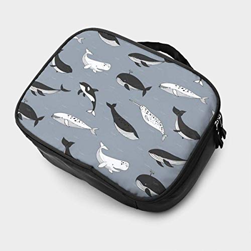 Sesperm Whale Killer Whale Blue Whale - Estuche organizador portátil para maquillaje, cosméticos, brochas de maquillaje, joyas, accesorios digitales