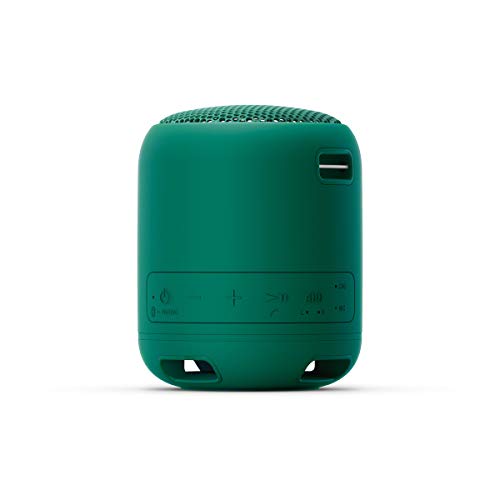 Sony SRS-XB12, Altavoz, Inalámbrico y alámbrico, MicroUSB, Tamaño Único, Verde