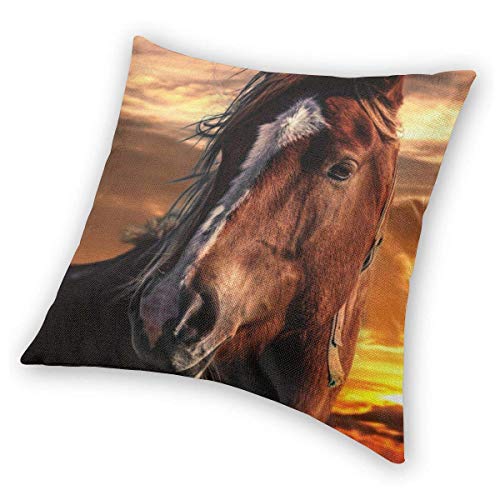 Sunset Brown Horse with White Stripe On Face Velvet Soft Decorative Square Throw Pillow Case Cushion Cover Pillowcase for Livingroom Sofa Bedroom with Invisible Zipper 20x20 Inches