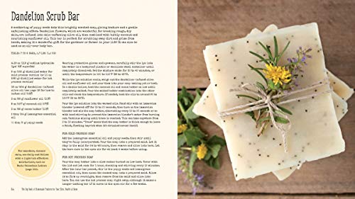 The Big Book of Homemade Products for Your Skin, Health and Home: Easy, All-Natural DIY Projects Using Herbs, Flowers and Other Plants