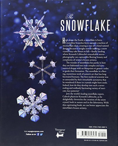 The Snowflake: Winter's Frozen Artistry