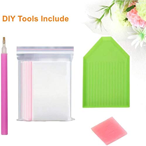 XZHYMJ Diy 5D Kit de pintura de diamante Alcoy Crystal Rhinestone para la decoración de la pared del hogar Taladro completo Regalo del Día de San Valentín 30X40Cm