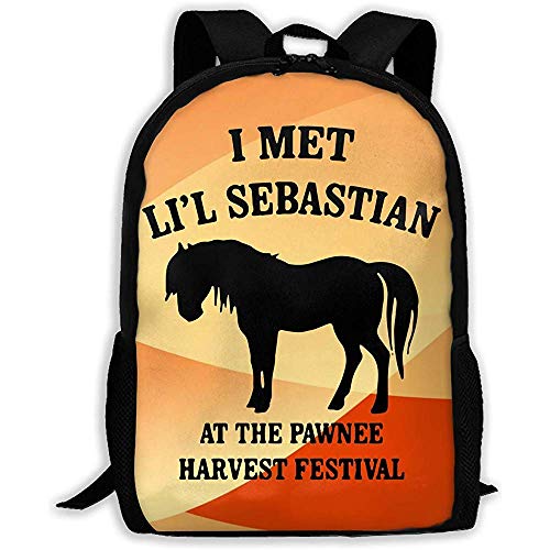 Yuanmeiju Travel Mochila,Li'L Sebastian Helpful Travel Bags for Camping Travel 43x28x16cm