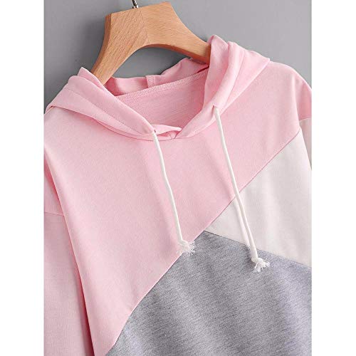 YWLINK Mujer Sudadera con Capucha OtoñO E Invierno Manga Larga SuéTer Camiseta Casual A Juego Flojo Y Comodo Camisa De Fondo Chaqueta Ropa Deportiva Fiesta/Diario/Correr/Yoga/Ciclismo(Rosado,XXL)