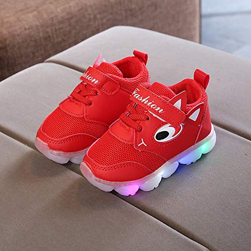 Zapatillas de Deporte con Luces para Niños Niñas Primavera Invierno 2019 PAOLIAN Calzado Running Exterior Niñas Niños Zapatos de Primeros Pasos Bebés Bautizo Recién Nacidos Suela Dura