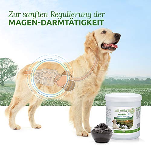 AniForte Moor Mud Curativo para Perros 1200g – Mejora la digestión, el Sistema inmunológico, la Actividad gastrointestinal, estimula el apetito. Arcilla curativa Natural