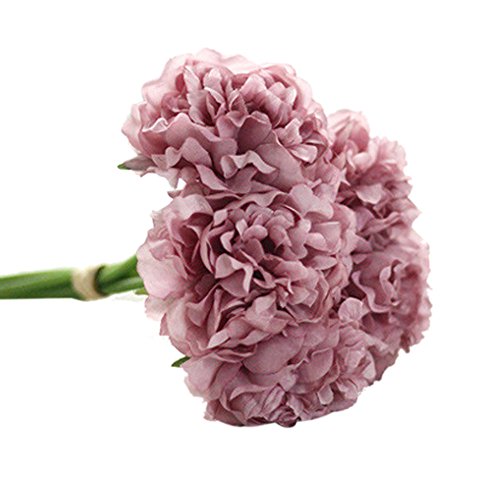 Comprar peonia natural ? 【 desde  € 】 | Estarguapas