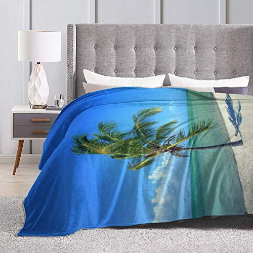 Etryrt Manta, Luxury Velvety Plush Micro-Velour Ultra-Soft Blanket Smathers Beach Palm Tree Lightweight All-Season Anti-Static for Fleece Throw Sofa Couch Bed 80"x60"