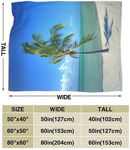 Etryrt Manta, Luxury Velvety Plush Micro-Velour Ultra-Soft Blanket Smathers Beach Palm Tree Lightweight All-Season Anti-Static for Fleece Throw Sofa Couch Bed 80"x60"