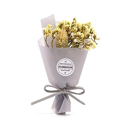 Gypsophila Flor eterna Regalo romántico Hecho a Mano Flor Delicado Ramo pequeño Flor Seca joyería Boda cumpleaños-P04