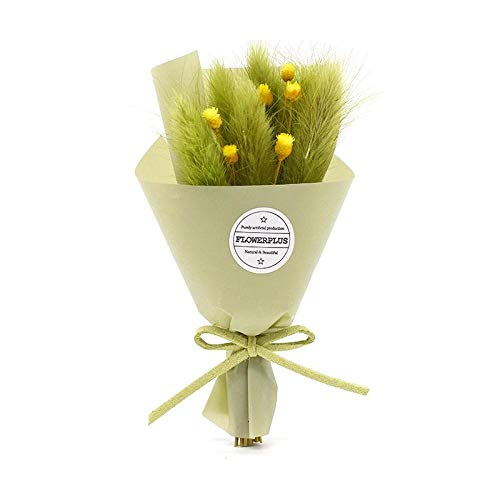 Gypsophila Flor eterna Regalo romántico Hecho a Mano Flor Delicado Ramo pequeño Flor Seca joyería Boda cumpleaños-P07