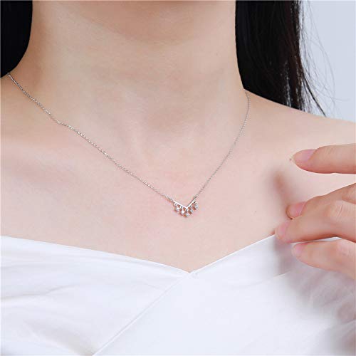 HWADMW S925 Collar de circón en Forma de V de Plata esterlina diseño de nicho Femenino Colgante Temperamento Cadena de clavícula de Viento frío Plata 925 S925 Plata Oro