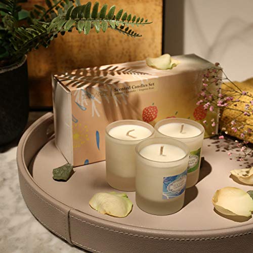 Juego de 3 velas aromáticas de Tooarts | 100 % cera de soja de cristal | 66 horas de duración de combustión para aniversario, cumpleaños, yoga de baño, aire fresco (jazmín, lavanda, rosa emperatriz)