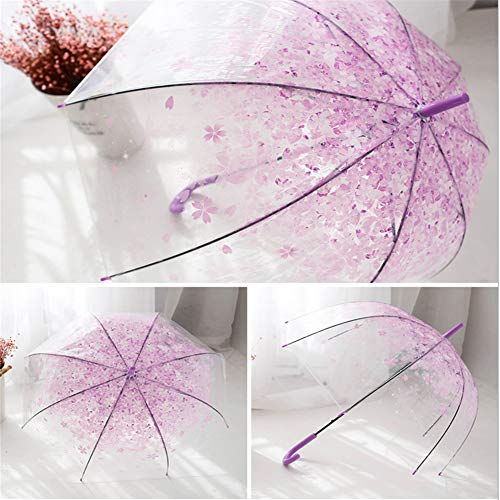 Lin Nan Paraguas de la Flor de Cerezo Hermosa Creativa Transparente Mango Largo Cúpula Romántica Medio Paraguas Automático para Mujeres, Purple