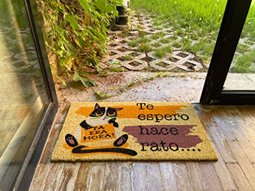 LucaHome - Felpudo de Coco Natural 70x40 con Base Antideslizante, Felpudo de Coco Divertido Te espero Hace rato,Felpudo Absorbente Entrada casa, Ideal para Puerta Exterior o Pasillo