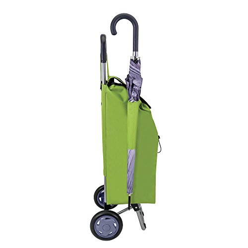 Metaltex Daphne - Carro de Compra con 2 Ruedas, 40 Litros, Verde