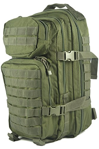 Mil-Tec EE.UU. Mochilla Assault Pack (Small/Oliva)