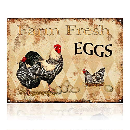 MMOUNT Farm Fresh Eggs Gallina Gallo Letreros de cocina Retro Vintage Decoración Metal Bar Coop Sign12x20 cm