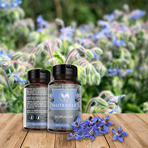 NUTRACLE - 50 Cápsulas de Borraja de 700 mg | Rico en Ácido Gamma Linoleico (GLA) 20% | Nutre e hidrata la piel y el cabello | Contrarresta los trastornos hormonales con el ciclo menstrual