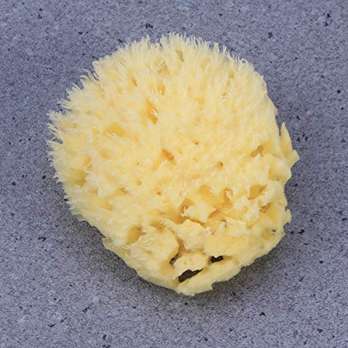 OUNONA Esponja de baño Griego Natural Algas Marinas Esponja Honeycomb Wash Cara Bebé Baño Esponja 1Pcs