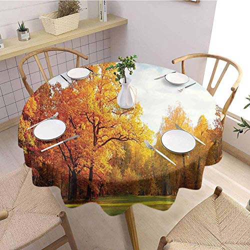 Paisaje Celebración mantel redondo colorido bosque sol vigas a través de árboles otoño paisaje imagen diseño único diámetro 99 cm naranja azul y verde