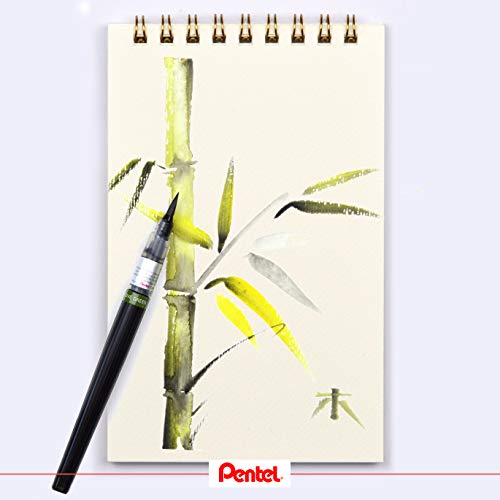 Pentel Color Brush - Pincel recargable, color gris