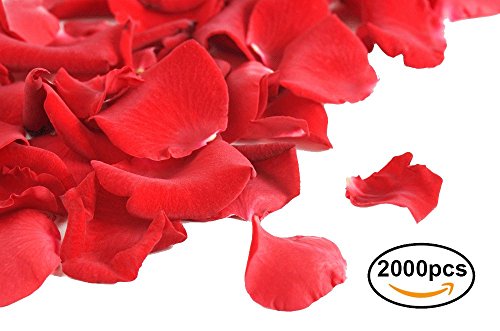 Pétalos de Rosa Rojos Confeti. Flores De Seda Románticas De La Sentir. día de San Valentín. Hojas Rojas (2000)