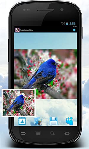 Photo Focus Editor