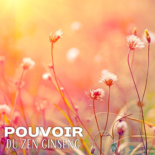 Pouvoir du zen ginseng - Musique naturelle relaxante et guérissante, L'énergie ayurvédique et reiki, État d'esprit sain et corps