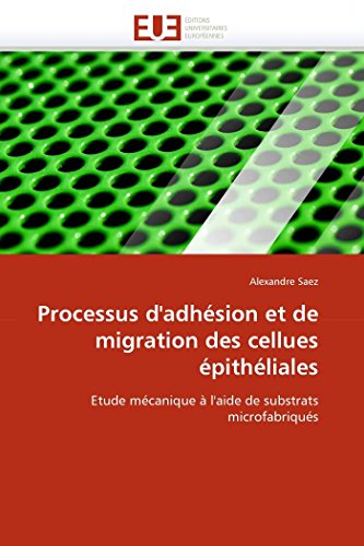 Processus d''adhésion et de migration des cellues épithéliales (OMN.UNIV.EUROP.)