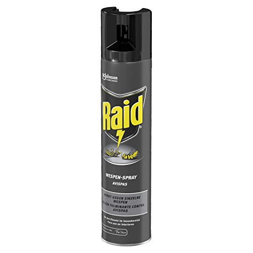 Raid - Insecticida para avispas en spray, acción fulminante, uso interior, aerosol 300 ml