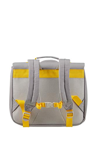 Samsonite Happy Sammies Eco - Mochila escolar S, 33.5 cm, 9 L, Gris (Raccoon Remy)