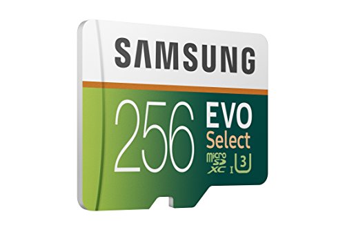 Samsung EVO Select 256 GB microSD 100 MB/s, Velocidad, Full HD & 4K UHD, Tarjeta de Memoria Incluye Adaptador SD para Smartphone, Tablet, cámara de acción, dron y portátil