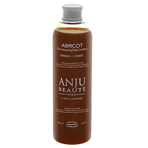 SHAMPOING ECLAT Abricot ANJU 250 ML