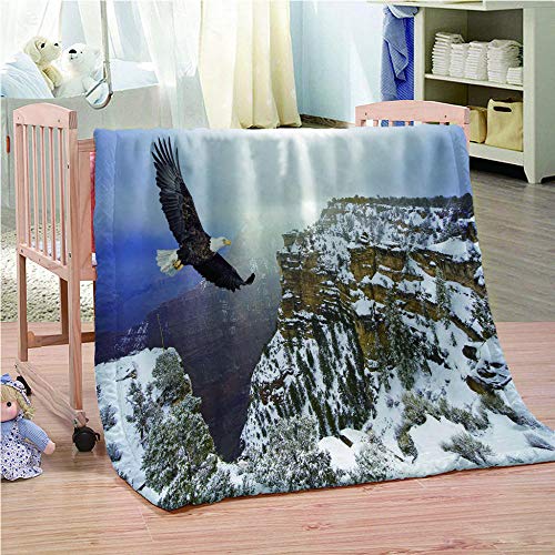 SHHSGZ Halcón Volando en el Cielo Manta Cobijas de Invierno Grandes Infantil Mantas Suave de Franela Mantas para Cama Bedding- Mantas de Sofá Oficina Casa Viaje Mantas de Lana-S