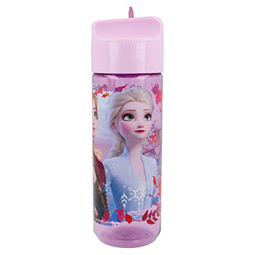 Stor Botella HIDRO TRITAN 540 ML | Frozen 2