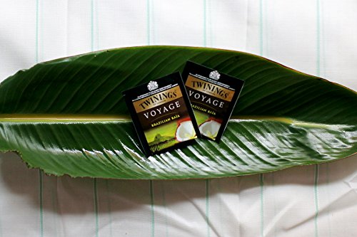 Twinings Voyage - Brazilian Baia - Té Negro Aromatizado con Semillas de Vainilla, Coco y Cacao - Sabor Dulce y Aterciopelado - Recuerda a la Mente las Atmósferas Paradisíacas de Brasil (25 Bolsas)