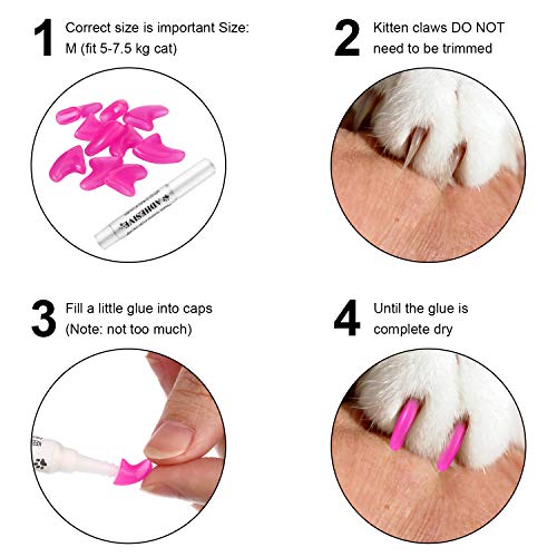 WILLBOND 200 Piezas Tapas de Uñas de Gato Coloridas Cubiertas de Garras Uñas Suaves de Gatos con 10 Piezas Pegamentos Adhesivos y 10 Piezas Aplicadores con Instrucción para Mascotas Gatos