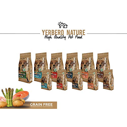 YERBERO Nature Grain Free salmón/Trucha Comida para Perros SIN Cereales 12kg