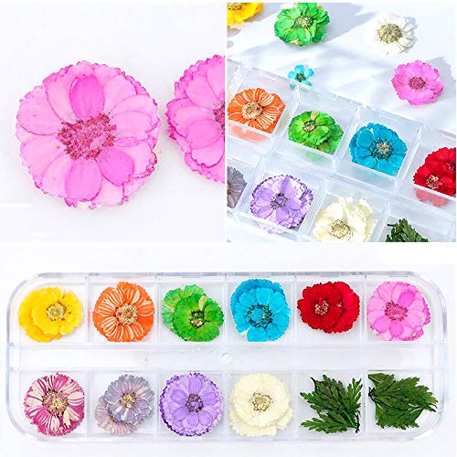 2 Boxes Real Natural Dried Flowers for Nail Art, Mwoot 22 Colors Dry Flowers with green Leaves Nail Art Supplies 3D Applique Nail Decoration Sticker for Tips Manicure Décor