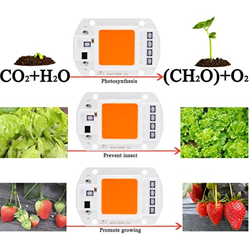 50W 220V Full Spectrum LED Chip, Plant Grow Light COB Emisor Diodo Componentes 50 W Bead, Driver Free para Invernaderos de interior Plantas Vegetales Flores Crecimiento, 1 paquete