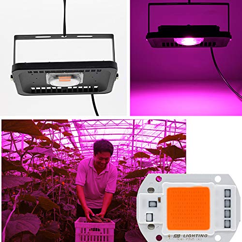 50W 220V Full Spectrum LED Chip, Plant Grow Light COB Emisor Diodo Componentes 50 W Bead, Driver Free para Invernaderos de interior Plantas Vegetales Flores Crecimiento, 1 paquete